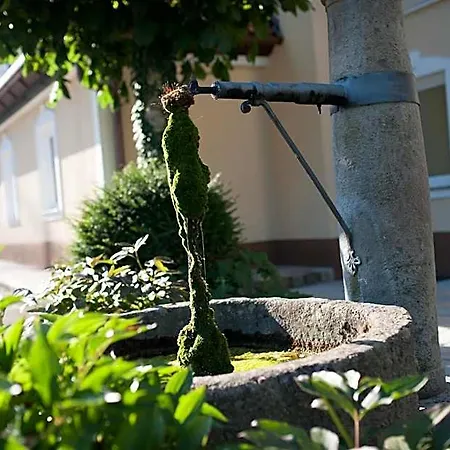 Voesenhuber