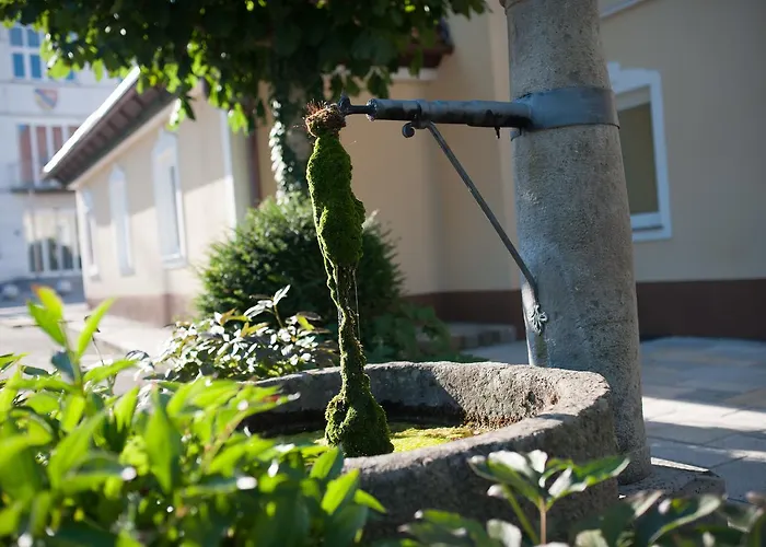 Voesenhuber Ernsthofen